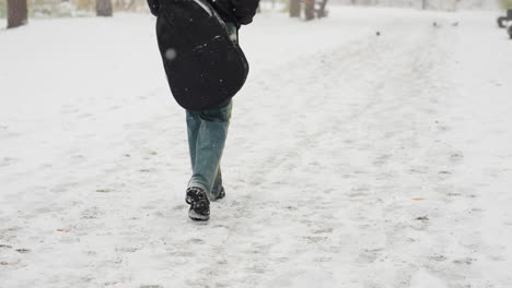 back view of someone in a black beanie and hoodie with hands in pocket, carrying a guitar in its pack, walking through snowfall, with a bench and trees in the background