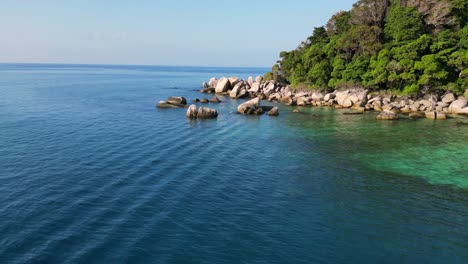 palmeras de playa de las seychelles rocas lisas