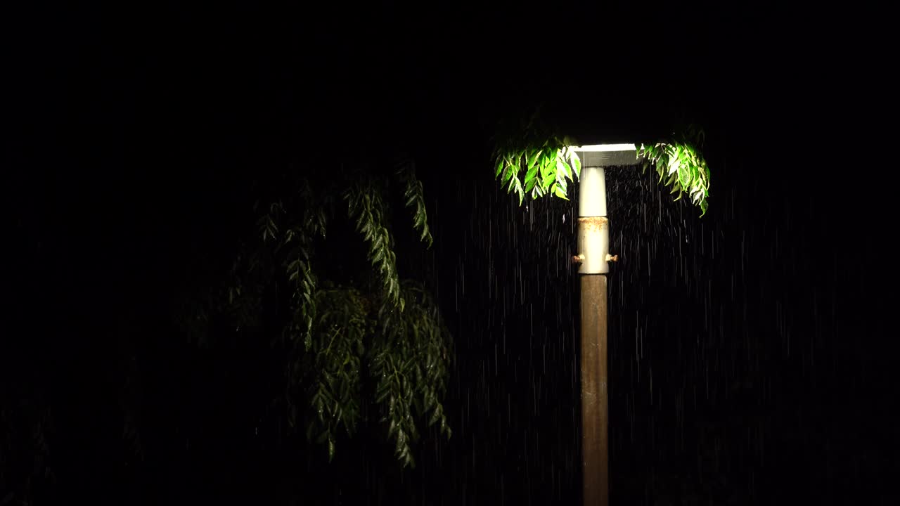 gotas de lluvia iluminadas por la lámpara de la calle durante una fuerte tormenta nocturna. 4k