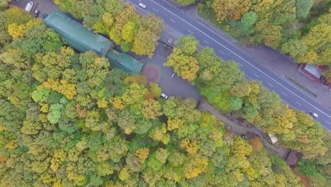 aerial view autumn forest with road