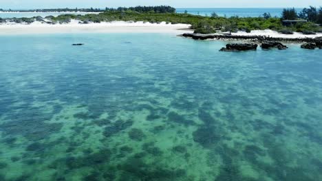 snorkeling en una isla de mozambique