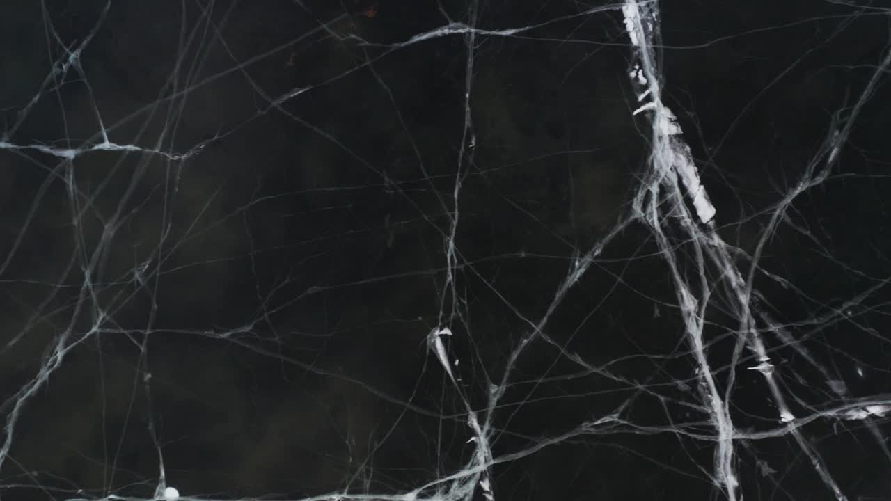 Frozen lake with surface veins in cracked ice, top down