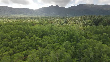 Antenne-Rückwärts-Dolly-Drohne-Aufnahme-Von-Bergen,-Dschungel-Und-Einem-Mangrovenwald