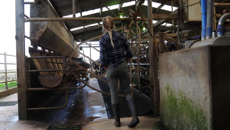 niña en una granja lechera esperando en la puerta para que entren las vacas