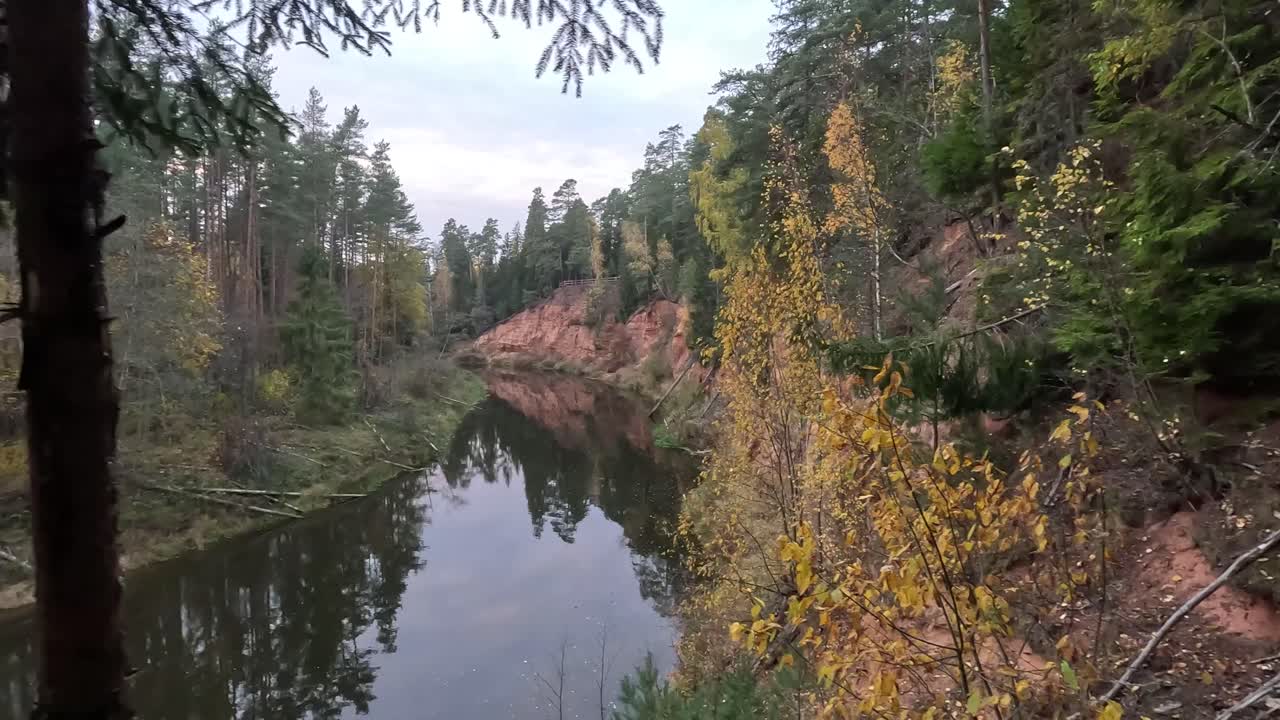 acantilados de arenisca roja nelku en el río salaca en el parque natural skanaiskalns en mazsalaca en letonia, tiempo de otoño