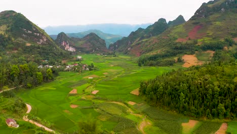 lush green rice fields surround tiny villages in the misty mountains of northern vietnam