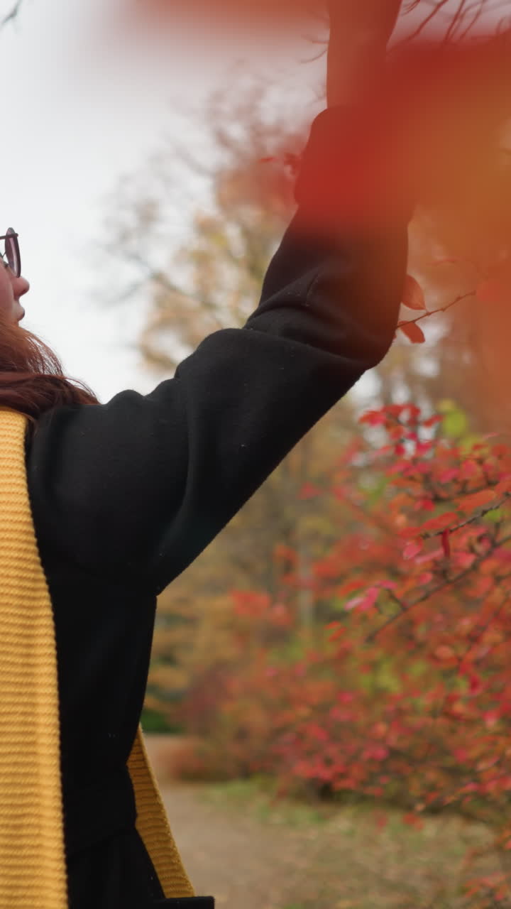vista trasera de una joven con una boina amarilla y un silenciador caminando por un camino de la naturaleza, tocando suavemente las hojas rojas de otoño, disfrutando de la belleza estacional y la tranquilidad del momento