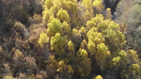 Vistas-Aéreas-De-Las-Montañas-De-Los-Pirineos-Españoles-En-Otoño