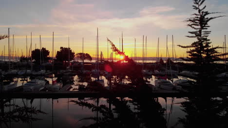 sunrise aerial fly over of a boat marina at sunrise, in the california peninsula, sea birds, sailing vessels, aerial views and a shining morning sun reflecting off the calm sf bay