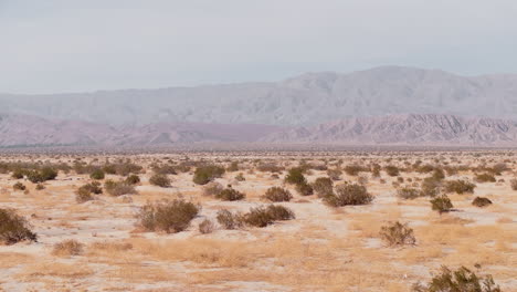 explore the vast and tranquil barstow desert in california. this stunning landscape features arid terrain, sparse vegetation, and majestic mountains in the background, showcasing natural beauty