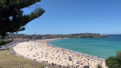 bondi beach new years eve 2022