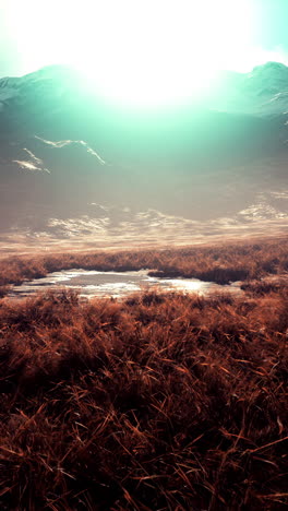 serene mountain landscape with a calm field