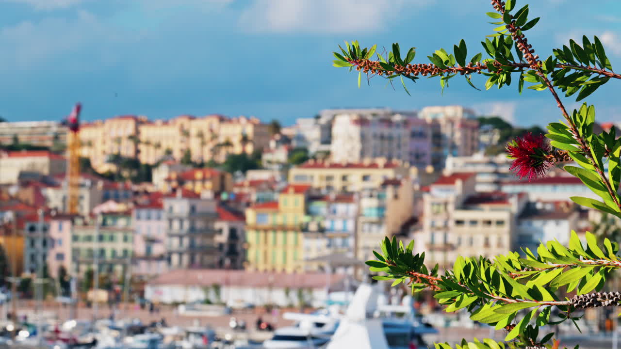 Blurred view of boats docked in the Pierre Canto Port in Cannes, France