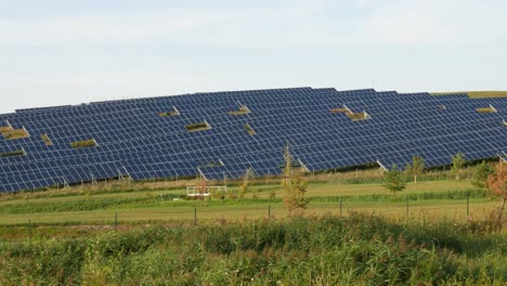 Toma-Estática-De-Una-Granja-De-Paneles-Solares-Situada-En-La-Ladera-De-Una-Colina-Mientras-Los-Rayos-Del-Sol-Aparecen-Y-Desaparecen