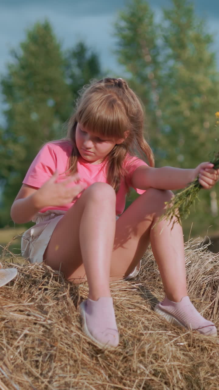 la niña se sienta en una bola de heno sosteniendo flores silvestres mientras quita algo de su brazo, un sombrero blanco de sol descansa a su lado mientras el hermano menor juega con una bola de heno en el vasto campo
