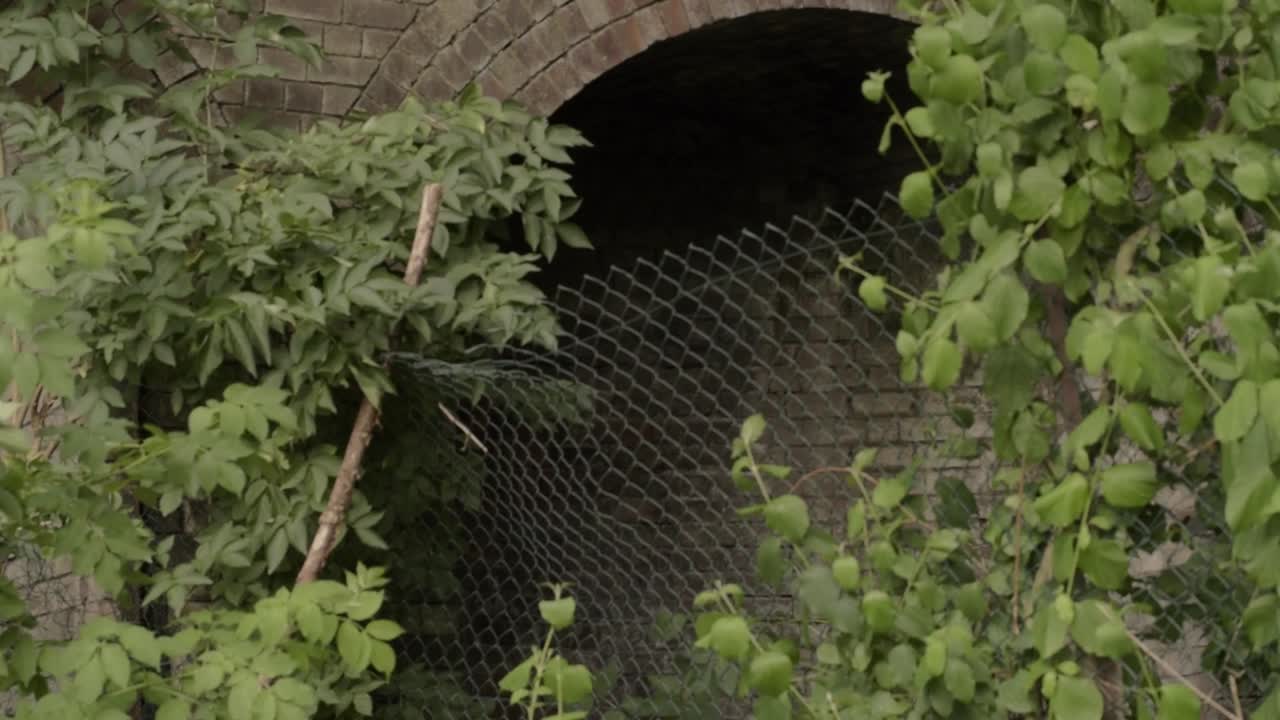 Overgrown abandoned brick tunnel entrance