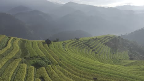 stunning aerial view of rice terraces in the mountains