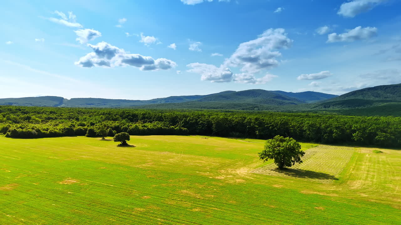 Lush green meadow under a blue sky. A vast green meadow stretches under a bright blue sky with fluffy clouds, surrounded by distant mountains and trees