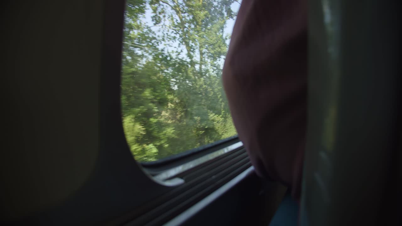 el punto de vista del pasajero mirando árboles y campos a través de la ventana del tren que viaja por el campo