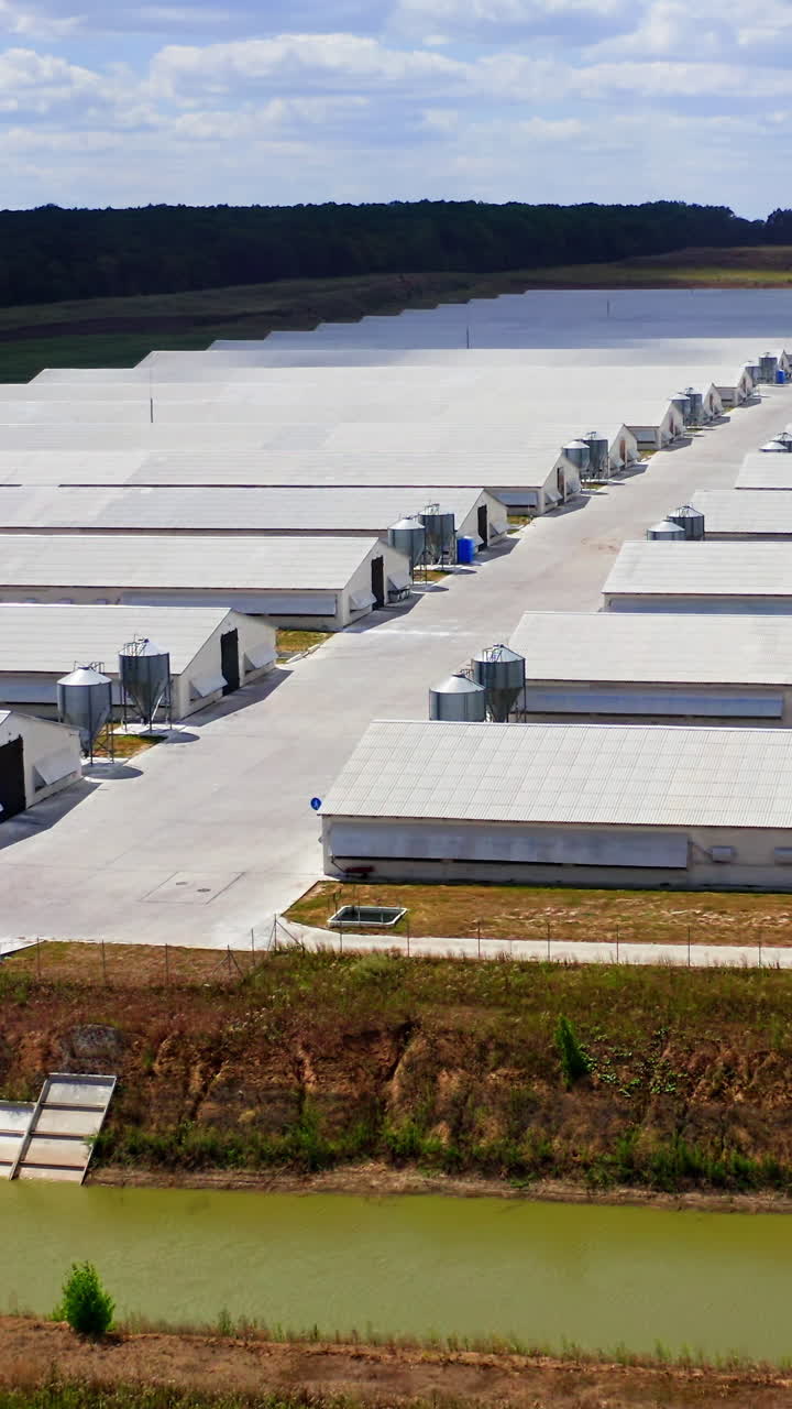 Panoramic view of a modern farm on field. White buildings of a modern farm in bright summer day. View from the air on agricultural complex in nature. Vertical video