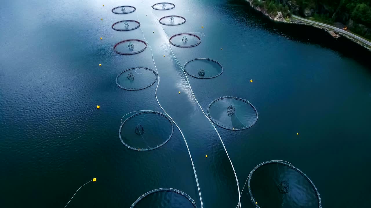 노르웨이에서 연어  ⁇ 시를 하는 공중 촬영