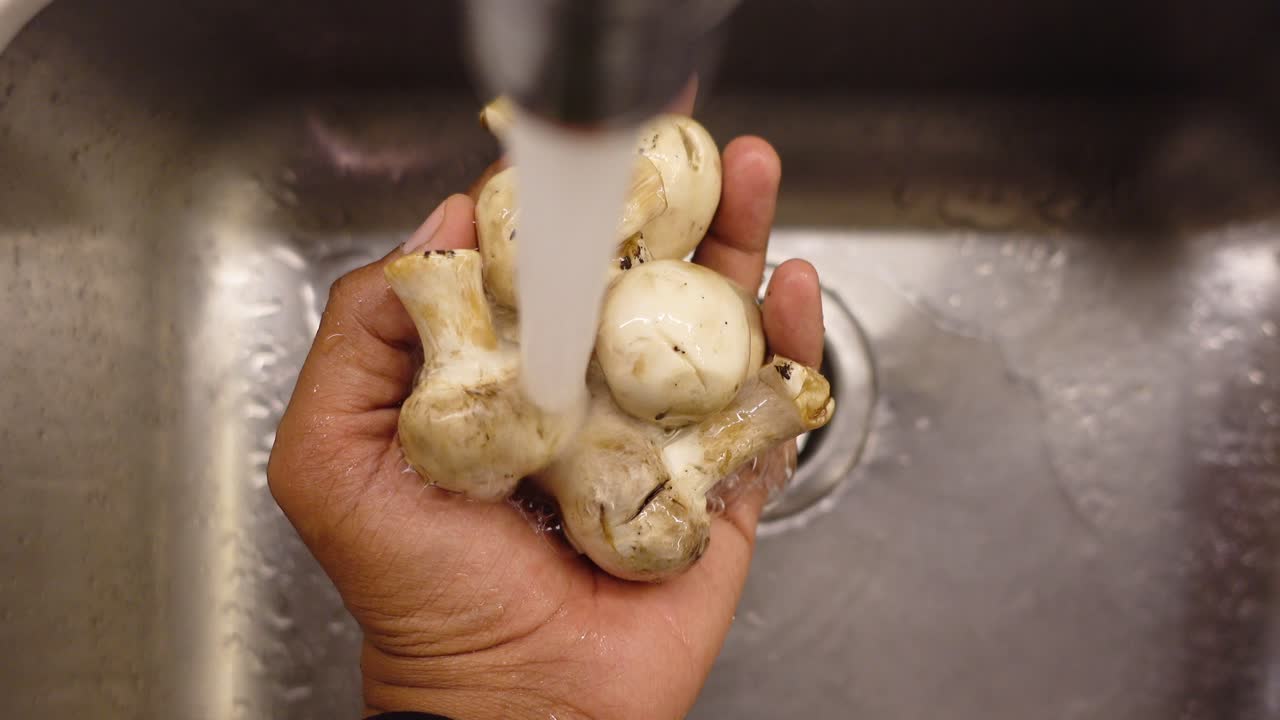 setas para el lavado