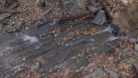 agua que fluye a través de rocas y hojas de otoño en wissahickon