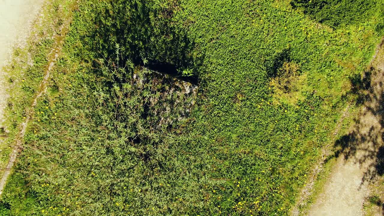 toma aérea de la planta en la granja