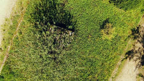 Toma-Aérea-De-La-Planta-En-La-Granja