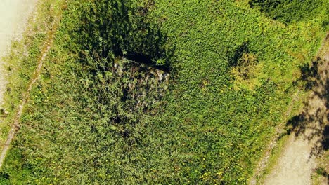 toma aérea de la planta en la granja