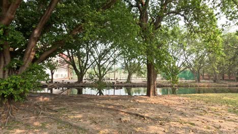 panoramic view of ancient ruins in a tranquil park