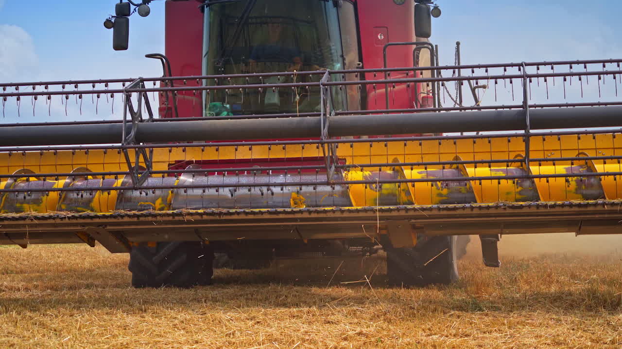 Large red harvester comes closer to the camera. Huge auger cuts the last spikelets. Combine auger close up.