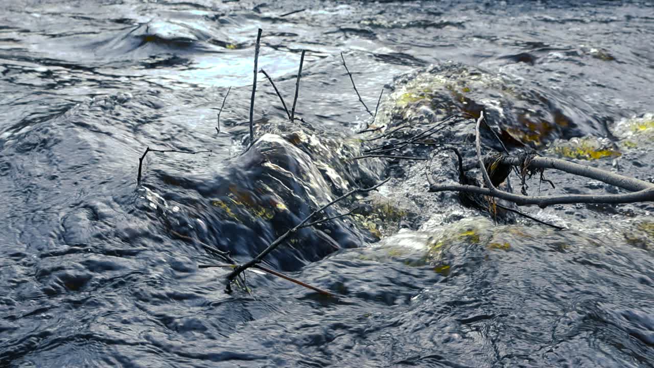 Surface of flowing river in slow motion. Water flows through fallen tree branches in the river, running through rapids. Low angle view over small flowing river with shimmering waves, beauty of nature