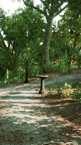 serene park path with bird bath and lamp post