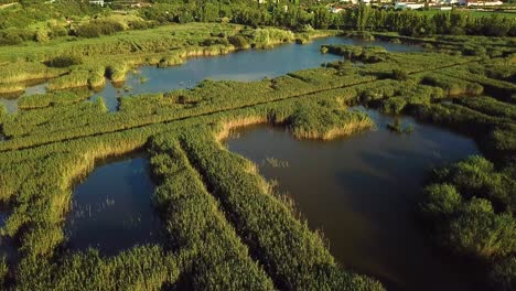 Un-Pantano-Pantanoso-Con-Un-Castillo-Al-Fondo