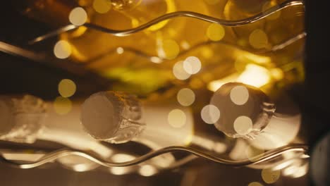 champagne bottles in a wine cooler