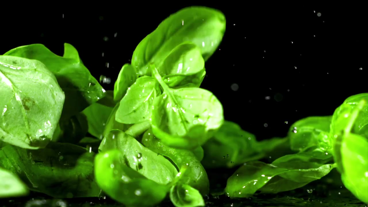 Foglie di basilico verde fresco che cadono in super slow motion con schizzi d'acqua