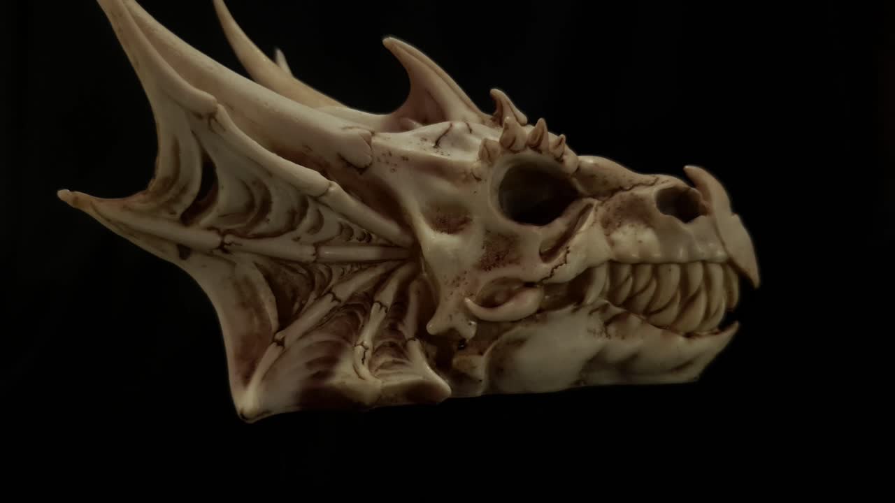 회전하는 판타지 인물