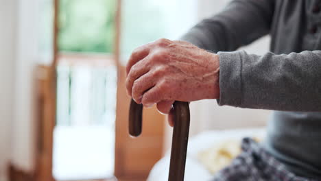 holding hands, walking stick