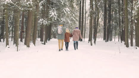 vista trasera de padres e hija vestidos con ropa de invierno caminando y saltando en un bosque nevado