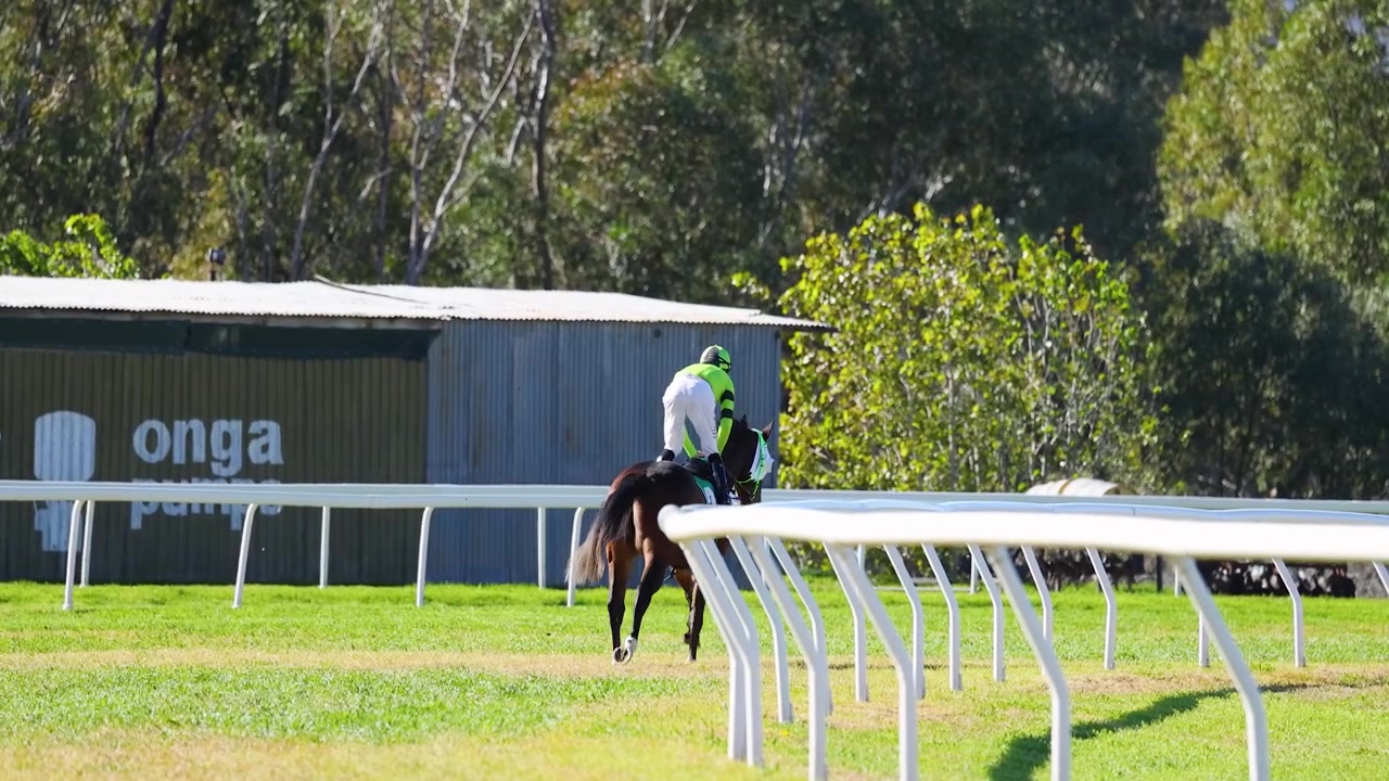 Jockey Riding Thoroughbred Horse During Morning Training at Racetrack