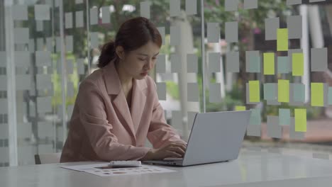 a young woman working with a laptop in a coffee shop business idea financial girl accountant