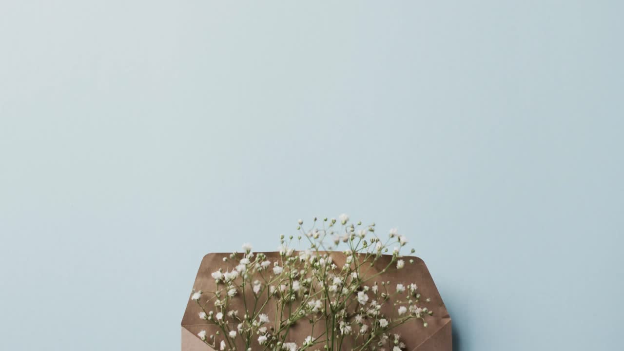 갈색 봉투 에 있는  ⁇  꽃 의 비디오 와 파란색 배경 에 있는 복사 공간