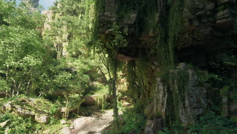 lush green forest path with overhanging cliffs