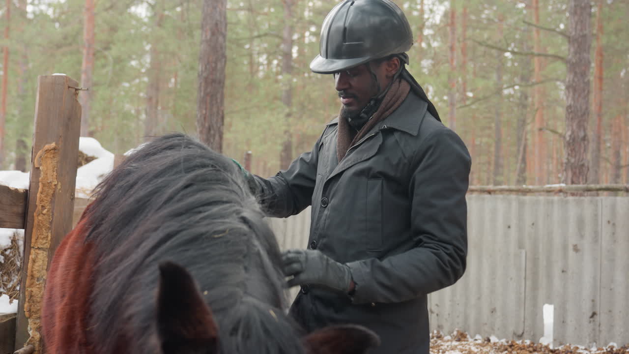 Administrador estable negro preparando poni en el cercado, ajustando el equipo y comprobando el pelaje, con casco y guantes, valla de madera y bosque de pinos al fondo, trabajo rutinario de establo en temporada de frío