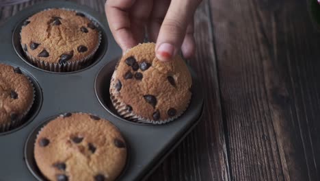 preparing chocolate chip cupcakes