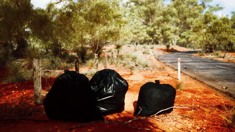 closeup of full trash bags on the sand