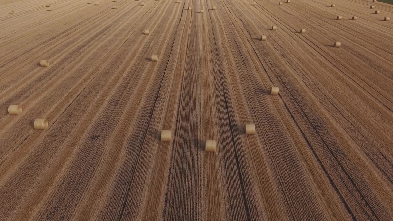 An aerial view of a freshly harvested wheat field featuring neatly aligned stubble rows and scattered round hay bales.