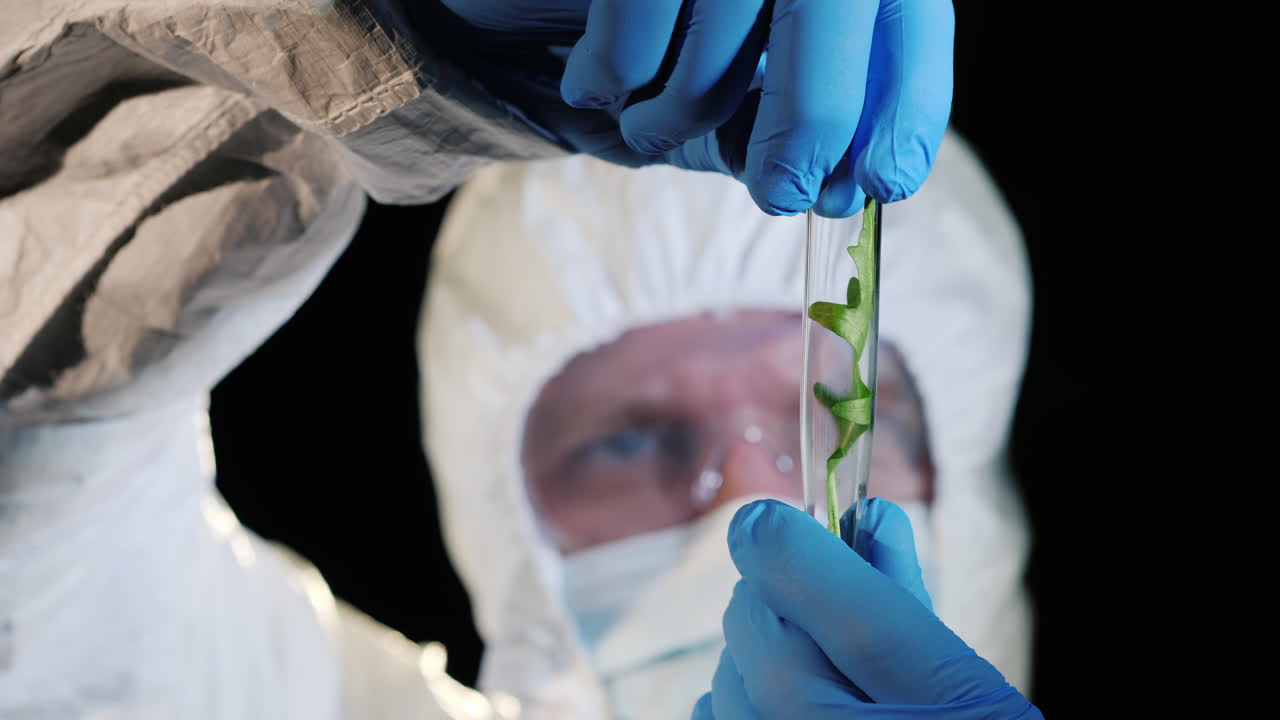 un científico masculino sostiene un matraz con una planta