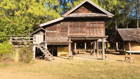 wooden house amidst nature in rural thailand